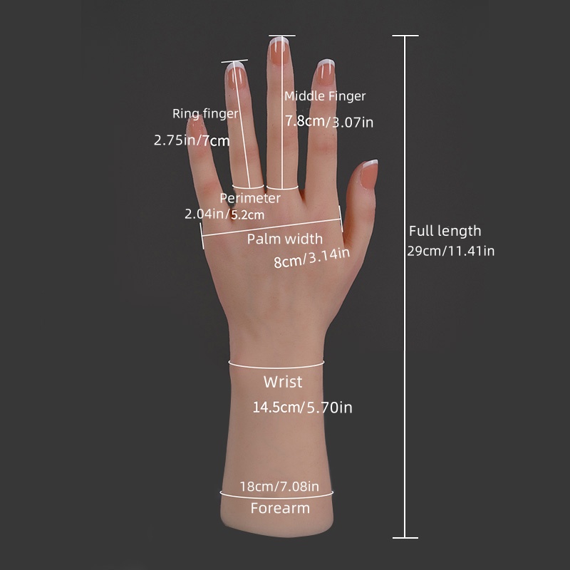 Réplica de silicone realista d - Art Craft Display avaliação e preço
